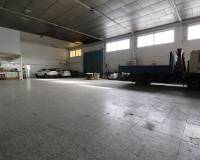 Sale - Industrial warehouse - Elche pedanias - Carretera del leon