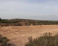 Sale - Plot of land - Elche pedanias - balsares