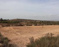 Sale - Plot of land - Elche pedanias - balsares