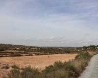 Sale - Plot of land - Elche pedanias - balsares