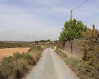 Sale - Plot of land - Elche pedanias - balsares