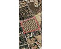 Sale - Plot of land - Elche pedanias - Daimes