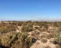 Sale - Plot of land - Elche pedanias - LA MARINA