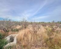 Sale - Plot of land - Matola - Algoda-Matola-Llano de San José