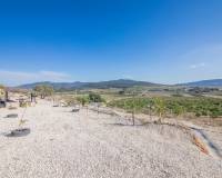 Sale - Plot of land - Pinoso - CULEBRON