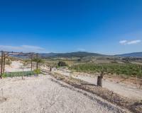 Sale - Plot of land - Pinoso - CULEBRON