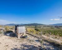Sale - Plot of land - Pinoso - CULEBRON