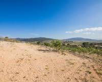 Sale - Plot of land - Pinoso - CULEBRON