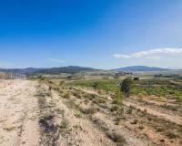 Sale - Plot of land - Pinoso - CULEBRON