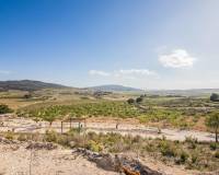 Sale - Plot of land - Pinoso - CULEBRON