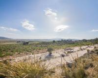 Sale - Plot of land - Pinoso - CULEBRON