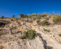 Sale - Plot of land - Pinoso - CULEBRON