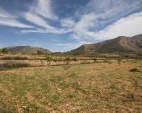 Sale - Rural Land - Algueña - ALGUEÑA