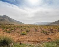 Sale - Rural Land - Algueña - ALGUEÑA