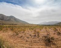 Sale - Rural Land - Algueña - ALGUEÑA