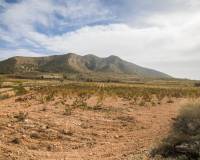 Sale - Rural Land - Algueña - ALGUEÑA