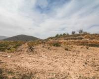 Sale - Rural Land - Algueña - ALGUEÑA