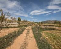 Sale - Rural Land - Algueña - ALGUEÑA