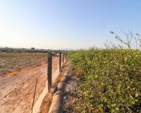 Sale - Rural Land - Elche pedanias - LA MARINA