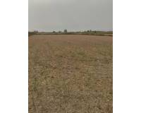 Sale - Rural Land - La hoya - La Hoya-Daimes-El Derramador