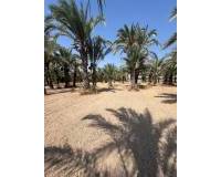 Sale - Rural Land - Matola - Algoda-Matola-Llano de San José