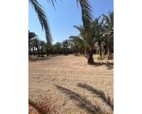 Sale - Rural Land - Matola - Algoda-Matola-Llano de San José