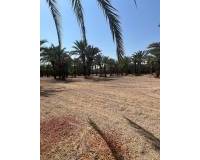 Sale - Rural Land - Matola - Algoda-Matola-Llano de San José