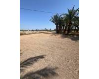 Sale - Rural Land - Matola - Algoda-Matola-Llano de San José