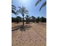 Sale - Rural Land - Matola - Algoda-Matola-Llano de San José