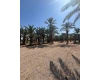 Sale - Rural Land - Matola - Algoda-Matola-Llano de San José