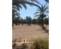 Sale - Rural Land - Matola - Algoda-Matola-Llano de San José