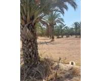 Sale - Rural Land - Matola - Algoda-Matola-Llano de San José