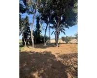 Sale - Rural Land - Matola - Algoda-Matola-Llano de San José