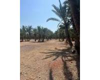 Sale - Rural Land - Matola - Algoda-Matola-Llano de San José