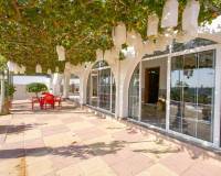 Sale - Single family house - Almoradi - ALMORADÍ