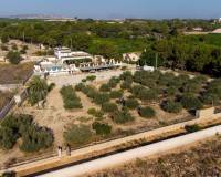 Sale - Single family house - Almoradi - ALMORADÍ