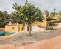 Sale - Single family house - Aspe - Montesol