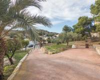 Sale - Single family house - Aspe - Montesol