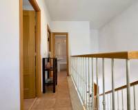 Sale - Single family house - Aspe - Santa Elena
