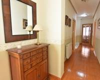 Sale - Single family house - Aspe