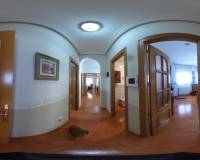 Sale - Single family house - Aspe