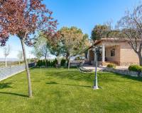 Sale - Single family house - Chinchon - Nuevo chinchon
