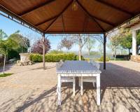 Sale - Single family house - Chinchon - Nuevo chinchon