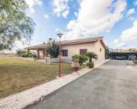 Sale - Single family house - Crevillent - Comunidad valenciana