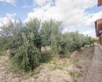 Sale - Single family house - Crevillent - Comunidad valenciana