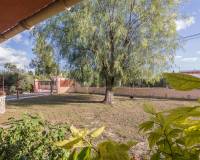 Sale - Single family house - Crevillent - Comunidad valenciana