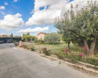 Sale - Single family house - Crevillent - Comunidad valenciana