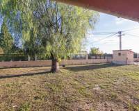 Sale - Single family house - Crevillent - Comunidad valenciana