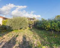 Sale - Single family house - Crevillent - Comunidad valenciana