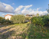 Sale - Single family house - Crevillent - Comunidad valenciana